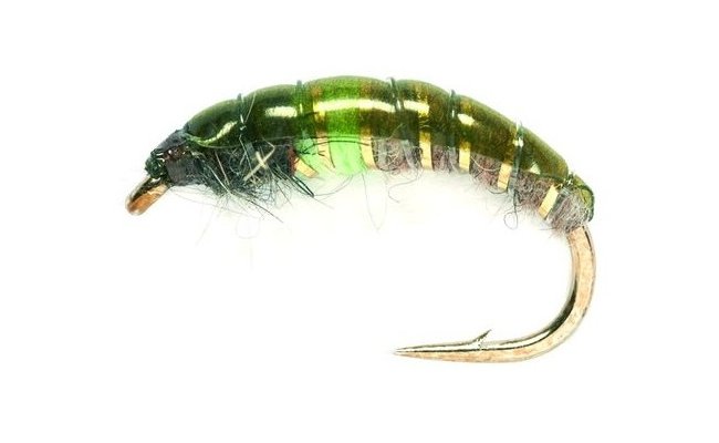 esk nymfa Super s fluo zelenm srdkem esk nymfa Super s fluo zelenm srdkem, vel. 10