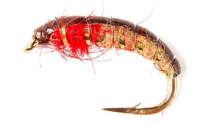 �esk� nymfa Super s jasn� �ervenou hrud� �esk� nymfa Super s jasn� �ervenou hrud�, vel. 12