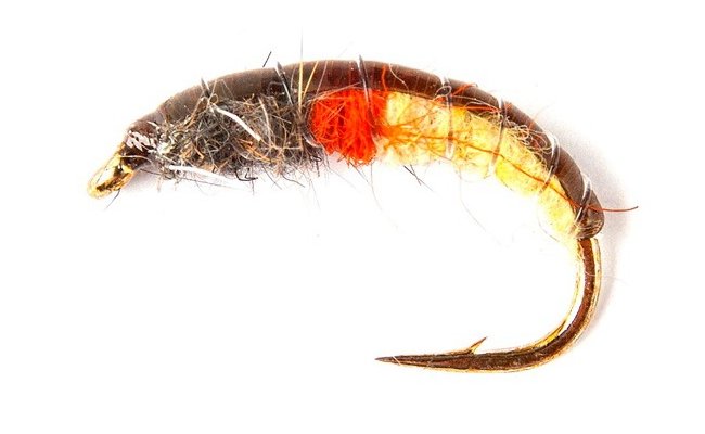 esk nymfa Super s oranovm srdkem esk nymfa Super s oranovm srdkem, vel. 10