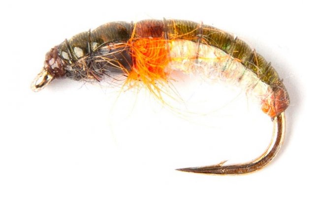 esk tungstenov nymfa s oranovm srdkem esk tungstenov nymfa s oranovm srdkem, vel. 10