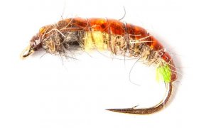 esk tungstenov nymfa Zaje ouko prodn esk tungstenov nymfa Zaje ouko prodn, vel. 10