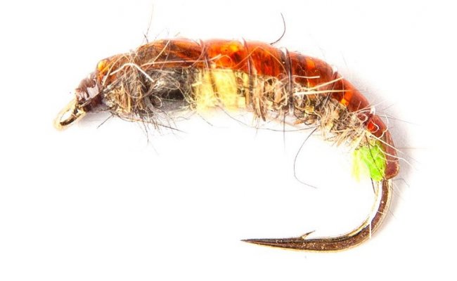 esk tungstenov nymfa Zaje ouko prodn esk tungstenov nymfa Zaje ouko prodn, vel. 10