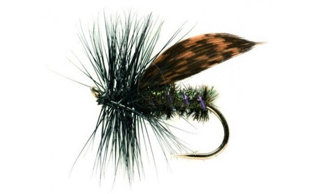 Chrostk Alder s pavm tlkem ern Chrostk Alder s pavm tlkem ern, vel. 12