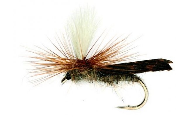 Chrostk s paraut noikami edo-hnd Chrostk s paraut noikami edo-hnd, vel. 10