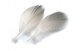 ��rka obecn� Veniard Teal Duck Flank Feathers ��rka obecn� Veniard Teal Duck Flank Feathers