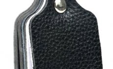 isti & Srovnva nvazc Leichi Leader Cleaner & Stretcher Black