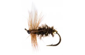 Coachman Coachman, . 16