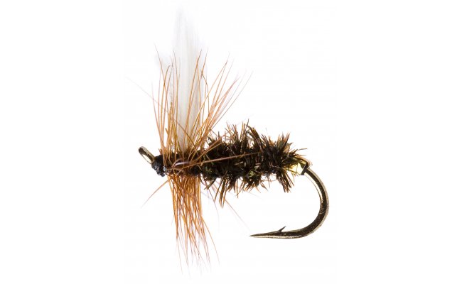 Coachman Coachman, . 16