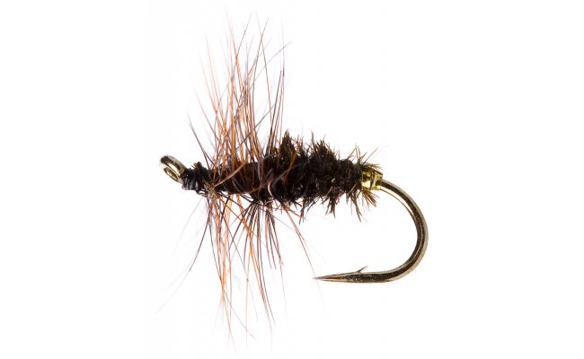 Coch-Y-Bondhu Coch-Y-Bondhu, vel. 16