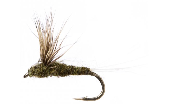 Compara Dun Olive Compara Dun Olive, vel. 16