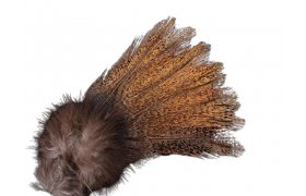 Coq de Leon Pardo Flor de Escoba Encendado � limitovan� s�rie (PFEE) Coq de Leon Pardo Flor de Escoba Encendado � limitovan� s�rie (PFEE)