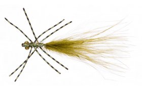 Drobn larva idlka s noikami z gumy olivov Drobn larva idlka s noikami z gumy olivov, vel. 10