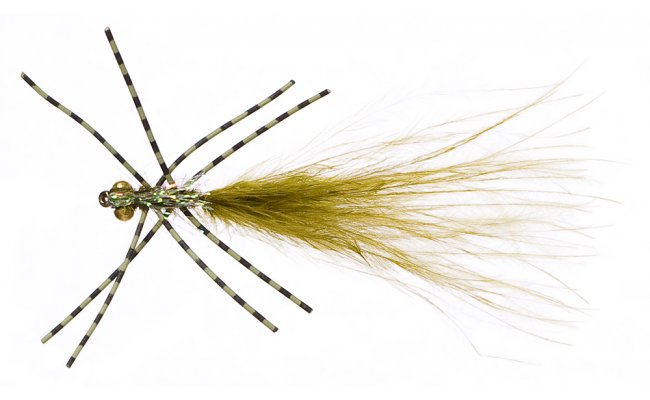 Drobn larva idlka s noikami z gumy olivov Drobn larva idlka s noikami z gumy olivov, vel. 10