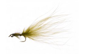 Drobn larva idlka s etzkovma oima Drobn larva idlka s etzkovma oima, vel. 10