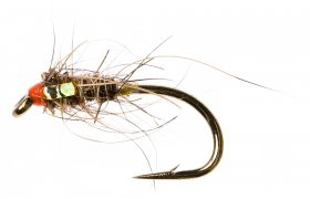 Drobn nymfa Zaje ouko se zlatm lkem Drobn nymfa Zaje ouko se zlatm lkem, vel. 12