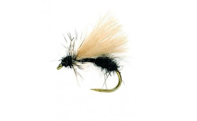 Drop Arse Ant Drop Arse Ant, vel. 14