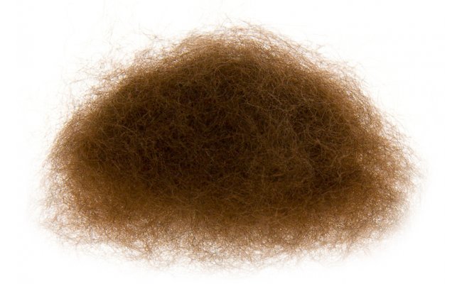 Dubbing z americk vaice Ji Klma Opossum Dubbing Dubbing z americk vaice Ji Klma Opossum Dubbing ern