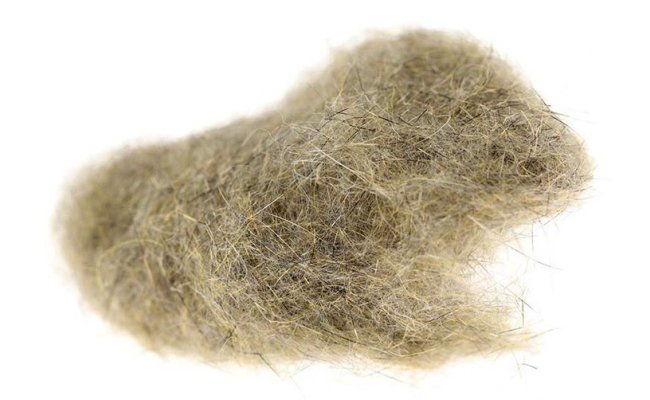 Dubbing z americk veverky Veniard Squirrel Dubbing Dubbing z americk veverky Veniard Squirrel Dubbing ern