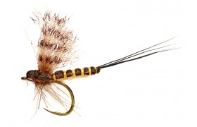 Edwardsova beznovka Mohyknka B/P Edwardsova beznovka Mohyknka B/P, vel. 14