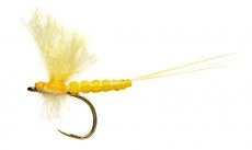 Edwardsova mjovka Mohyknka srov lut B/P