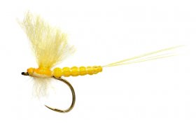 Edwardsova mjovka Mohyknka srov lut B/P Edwardsova mjovka Mohyknka srov lut B/P, vel. 14