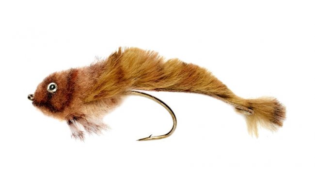 Edwardsova realistick� napodobenina vranky Edwardsova realistick� napodobenina vranky, vel. 2