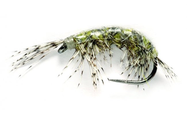 Edwardsv sladkovodn bleivec prodn Edwardsv sladkovodn bleivec prodn, vel. 14