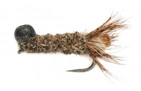 Edwardsv Vykukujc chrostk tmav Edwardsv Vykukujc chrostk tmav, vel. 10