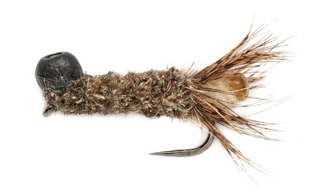 Edwardsv Vykukujc chrostk tmav Edwardsv Vykukujc chrostk tmav, vel. 10