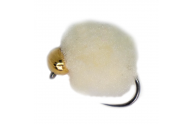 Egg se zlatou hlavikou bov Egg se zlatou hlavikou bov, vel. 12