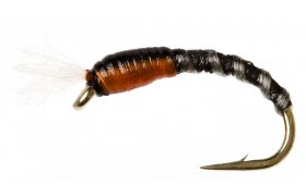 F Floss Buzzer Black F Floss Buzzer Black, vel. 12