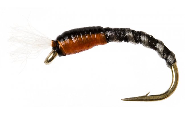 F Floss Buzzer Black F Floss Buzzer Black, vel. 12