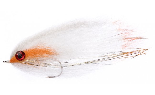 FM Fry Roach FM Fry Roach, vel. 4/0