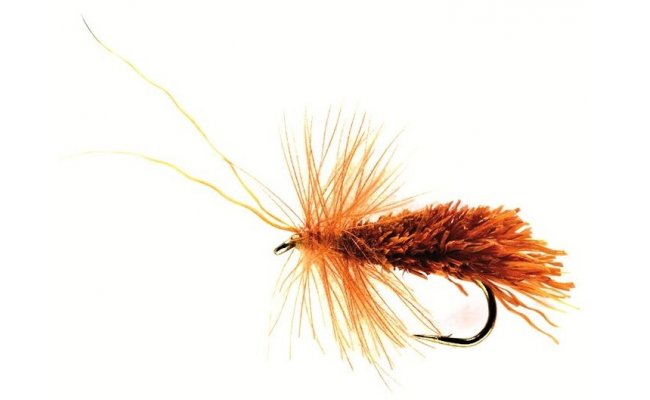 Goddardv chrostk s CDC noikami skoicov Goddardv chrostk s CDC noikami skoicov, vel. 12