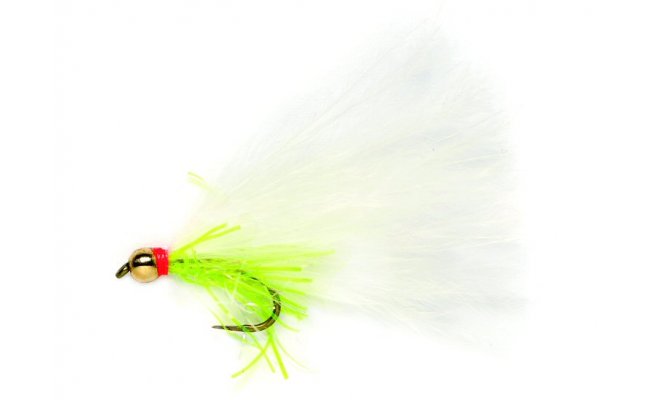 Gold Head Cats Whisker B/L Golden Bullet Cats Whisker B/L, vel.10