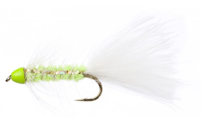 Golden Bullet Green Head Cat Golden Bullet Green Head Cat, vel. 10