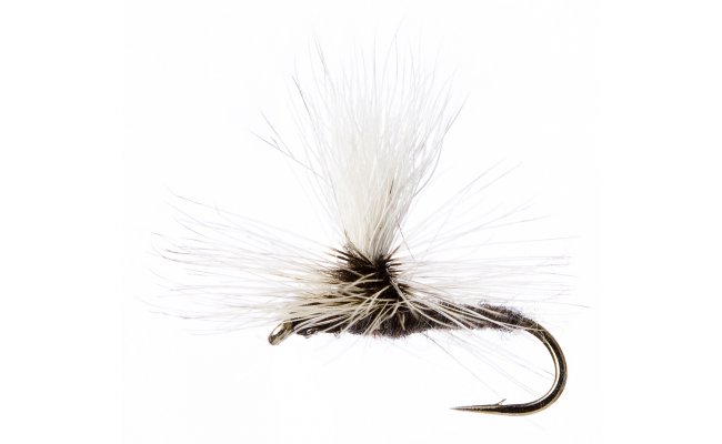 Grey Duster Parachute Grey Duster Parachute, vel. 16