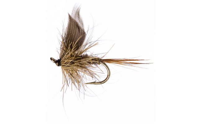 GRHE Upwing GRHE Upwing, vel. 16