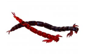 Gumov nstrahy Westin BloodTeez Worm 7,5 cm Gumov nstrahy Westin BloodTeez Worm 7,5 cm Bloodworm, 6 ks