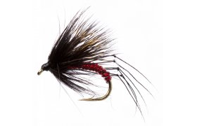 Half Hog Black & Red Half Hog Black & Red, vel. 12