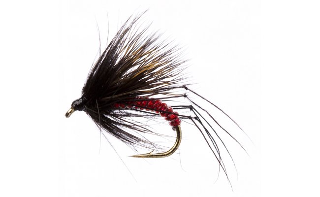 Half Hog Black & Red Half Hog Black & Red, vel. 12