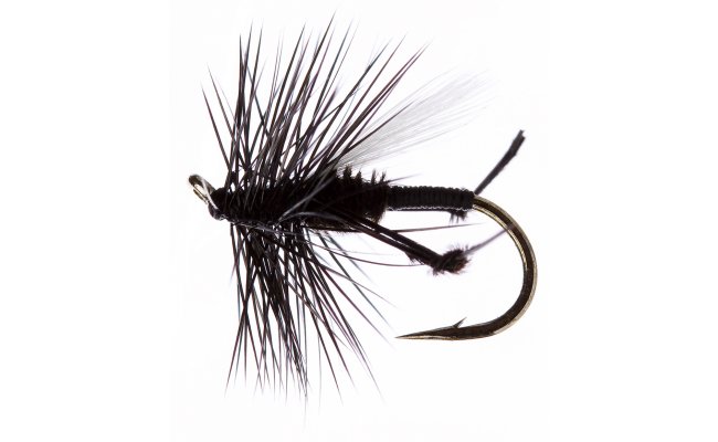 Hawthorne Original Hawthorne Original, vel. 12