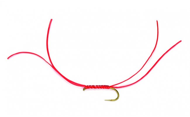 Holo App's Bloodworm B/L Holo App's Bloodworm B/L, vel. 10