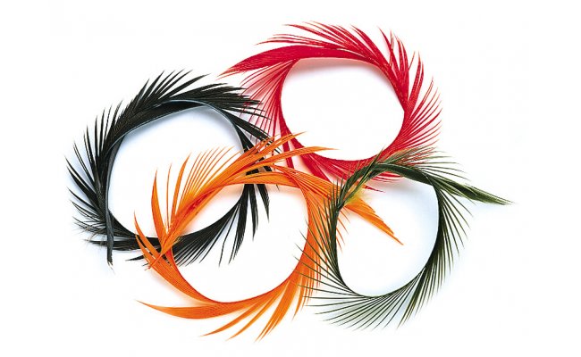 Hus Biots Veniard Goose Biot Strips Hus Biots Veniard Goose Biot Strips bl