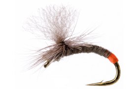 Infallible Infallible, vel. 16