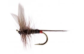 Iron Blue Dun Upwing Iron Blue Dun Upwing, vel. 16