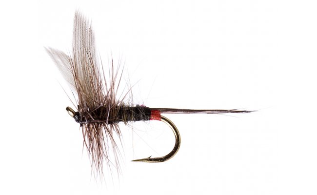 Iron Blue Dun Upwing Iron Blue Dun Upwing, vel. 16