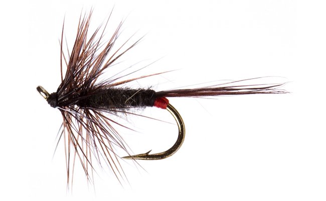 Iron Blue Dun Iron Blue Dun, vel. 16