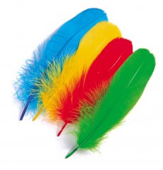 Jemn hus pe Veniard Goose Shoulder Soft Feathers