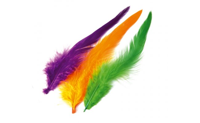 Jemn kohout pe Veniard Schlappen Feathers Dyed Jemn kohout pe Veniard Schlappen Feathers Dyed bl